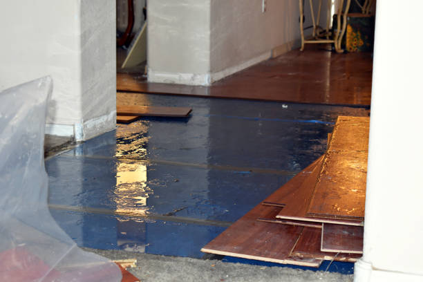 Professional Water Damage technician working in Strong, ME